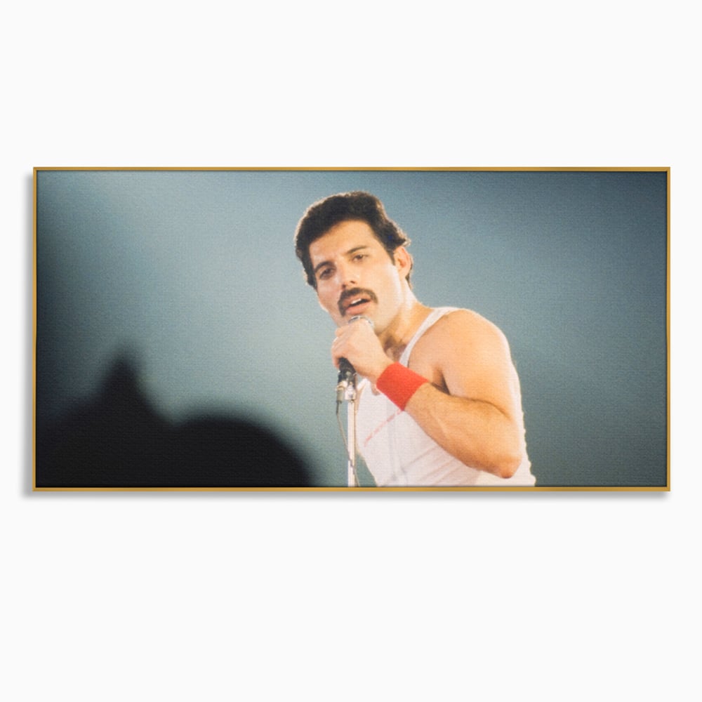Tablou canvas cu tablou canvas cu freddie mercury, in rama de aluminiu auriu